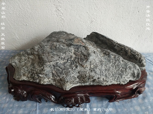 灵璧奇石磬石天然原石珍珠纹石