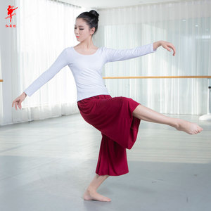 红舞鞋舞蹈衣女长袖棉双圆领大码练功服女学生成人芭蕾舞服38601