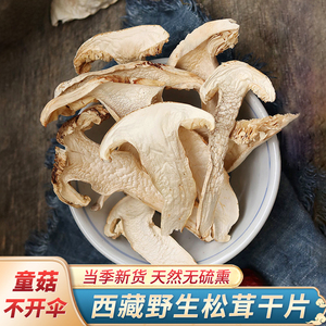 西藏野生松茸干货童菇不开伞煲汤食材50g非四川云南新鲜松茸干片