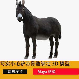 maya写实驴3d模型 小毛驴 骡子驴马牲畜带8K贴图带毛发带骨骼绑定