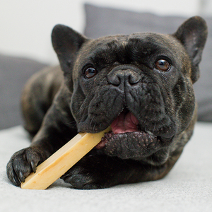 宠物磨牙棒布鲁莱克牦牛奶酪棒法斗柯基起司磨牙棒营养耐咬狗零食