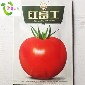 美农达红富士大红色番茄种子中早熟品种大果型耐高温果坚耐运输高