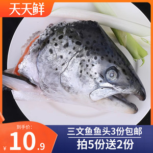 挪威进口三文鱼头超大冷冻三文鱼鱼头新鲜边角料水产煲汤剁椒鱼头