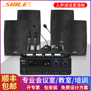 狮乐（SHILE）BX105会议室音响挂墙壁挂式店铺培训教学舞蹈室音箱