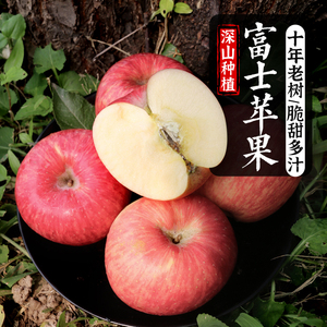新鲜红富士苹果 香甜酥脆甜不打蜡 生态种植时令水果 3斤