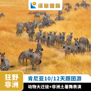 暑假全国出发肯尼亚10/12天跟团游非洲奇趣狂野动物大迁徙出境游