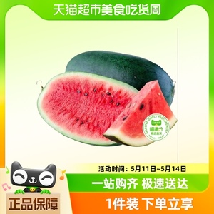 【喵满分】黑美人西瓜单果4-6斤/6-8斤当季应季水果现摘新鲜瓜