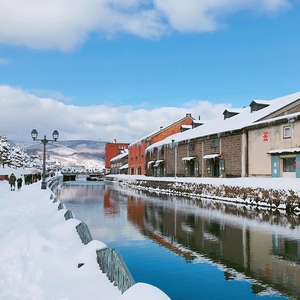 日本旅游6天5晚私家团北海道 星野度假村小樽运河富良野薰衣草
