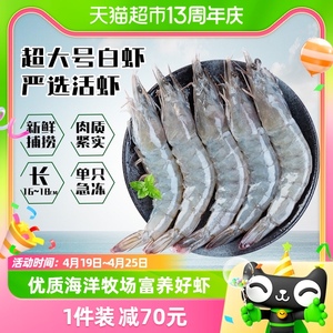 国联超大号白虾净重1.4kg40-55只国产基围海虾白对虾海鲜大虾