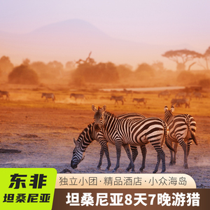 【私家团】非洲坦桑尼亚旅游 8天7晚跟团游动物大迁徙野奢酒店