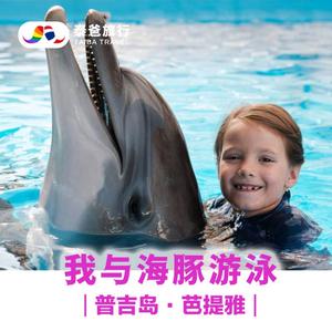 泰国普吉岛芭提雅海豚游泳｜儿童成人伴游海豚表演芭堤雅