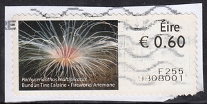 爱尔兰信销邮票 剪片 2012年 动物和海洋生物 8-1：千手佛珊瑚