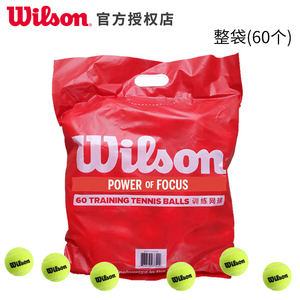 Wilson威尔胜比赛网球初学训练桶装球散装 袋装练习网球WRT136000