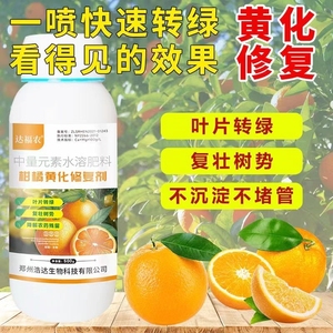 柑橘黄化修复剂柑橘树沃柑专用黄叶黄化病小花叶转绿修复剂叶面肥