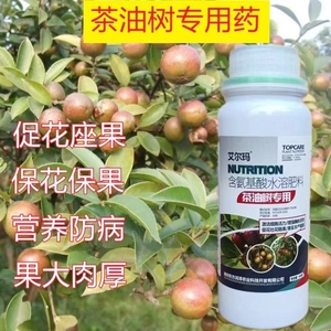 油茶树专用药保果素叶面肥茶树专用配方促花座果保花保果氨基酸肥