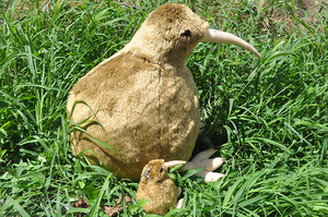 正版 外贸 几维鸟KIWI Bird 新西兰鸟 仿真动物 毛绒公仔玩具