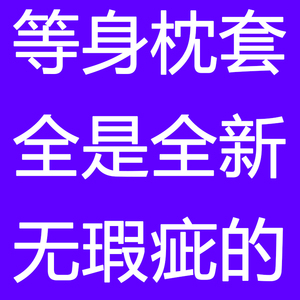 库存清仓-动漫二次元等身抱枕枕套穹妹樱岛麻衣狂三真白三玖纱雾