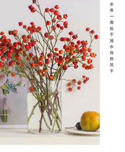 蔷薇花花瓶 蔷薇花花瓶品牌 价格 阿里巴巴 蔷薇花花瓶 蔷薇花花瓶品牌 价格 阿里巴巴