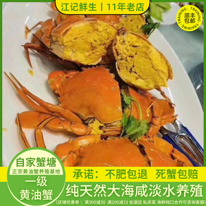深圳头手黄油蟹4-5两/只鲜活野生水产大膏蟹羔香肉甜青蟹顺丰包邮