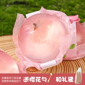 樱花果冻 礼盒装日式水信玄饼樱花高颜值网红闺蜜礼物 樱花季