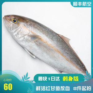 黄鰤鱼 黄鰤鱼品牌 价格 阿里巴巴