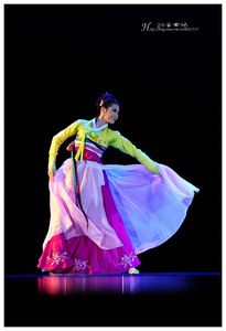 红果果舞蹈演出服饰朝鲜舞蹈女子独舞丽人民族舞台服装桃李杯