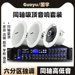 Guoyu/国宇G-816吸顶音响天花喇叭吊顶音箱嵌入式蓝牙功放机套装