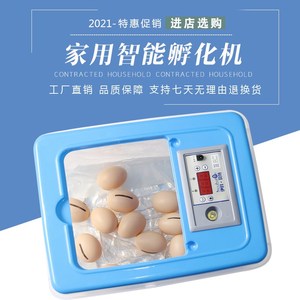 32枚鸡蛋实用设备全自动小鸡抱蛋机小型家用孵化器泡沫水床机器