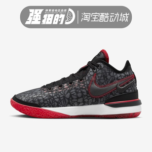 NIKE耐克ZOOM LEBRON詹姆斯布朗尼一代实战缓震篮球鞋DR8788-001