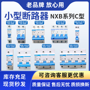 正泰昆仑NXB-63-40 1P 2P 3P4PC型NXB-125小型断路器DZ47家用开关