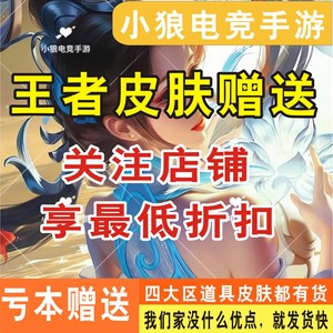 王者荣耀皮肤妲己九尾狐典韦露娜霜月吟宫本墨子李白孙膑小动物