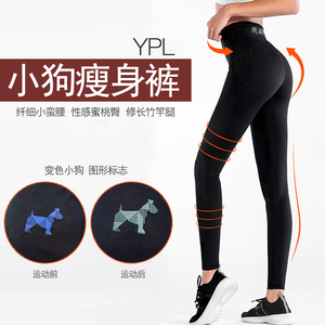 澳洲YPL 正品光速燃脂瘦腿裤经典款小狗裤收腹提臀燃脂睡眠健身裤