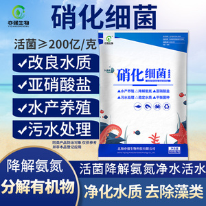 水产养殖硝化细菌污水处理净化水质调节水体降低亚硝酸盐活化简单