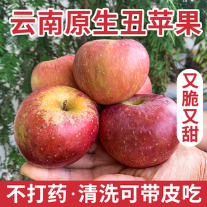 云南丑苹果昭通冰糖心小苹果脆甜多汁带皮吃孕妇水果新鲜采摘10斤