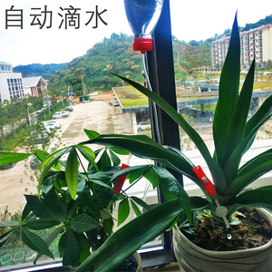 自动浇花滴水管神器 矿泉水瓶 懒人种植多肉除小白虫施肥杀菌手工