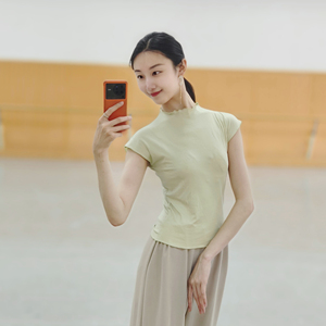 成人古典舞短袖上衣练功服舞蹈服夏季专业中国现代舞服女瑜伽显瘦