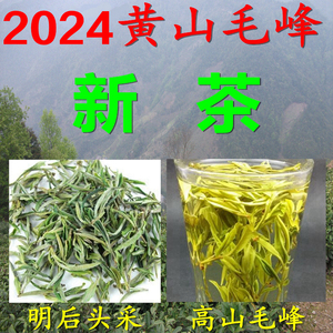 茶农直售 2024黄山毛峰新茶叶 明后一级安徽春茶绿茶250克 歙县茶