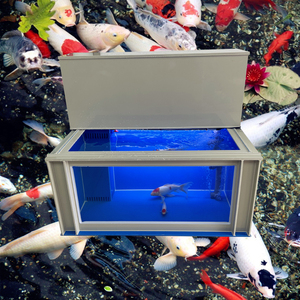 大型锦鲤鱼缸超白玻璃观赏鱼池上部过滤沉淀带干湿分离加厚PP鱼箱