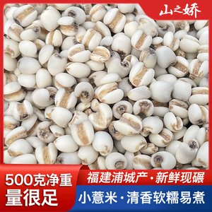 福建浦城特产杂粮 新货500g小粒薏米仁不是贵州苡米去湿气粥粗粮
