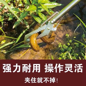 黄鳝捕捉器鳝鱼夹子不锈钢钳子防滑赶海抓螃蟹泥鳅龙虾蛇专用工具