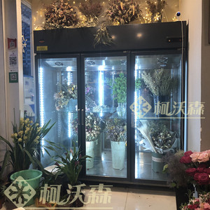花店双门三门鲜花保鲜展示柜立式花柜商用风冷直冷鲜花冷藏柜上海