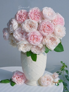 【顺丰冷链】极稀有可爱瓷玫瑰鲜花粉包子云南昆明直发