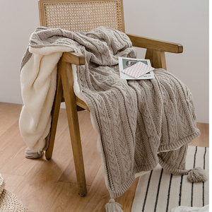 网红羊羔绒珊瑚绒保暖冬季毯子午睡毯被子沙发毯毛毯冬季加厚盖毯
