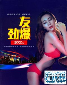 酒醉的蝴蝶你莫走新歌夜店劲爆中文歌曲DJ流行歌曲正版DVD碟片