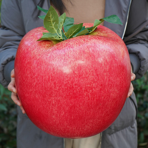 特大假水果道具 仿真水果蔬菜大模型 泡沫粉苹假苹果玩具家具展示