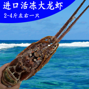 海鲜鲜活澳龙大龙虾活冻进口花龙波士顿龙虾水产冰冻特大古巴龙虾