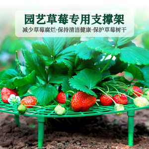草莓支架种植水果绿植阳台盆栽固定托盘防腐烂园艺固定拼接支撑架