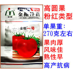 金棚一号番茄种子西安蔬菜研究所高产抗病四季老品种孑西红柿种籽