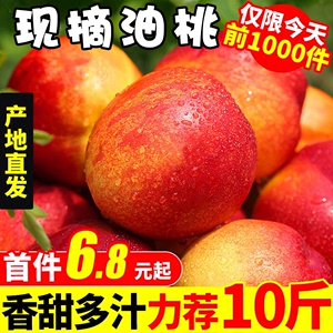 新鲜黄心油桃5斤包邮当季大桃子水果孕妇蜜脆桃当季水密桃整箱3
