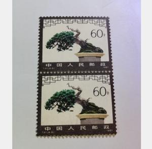 T61 山水盆景艺术 邮票 原胶近全品 散票6-6 翠柏 面值60分 价1枚